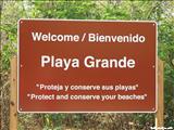 Grande Beach - VIEQUES